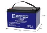 Mighty Max 12V 100Ah Gel Battery