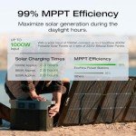 EF ECOFLOW DELTA 2 Max Solar Generator Combo