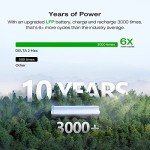 EF ECOFLOW DELTA 2 Max Solar Generator Combo