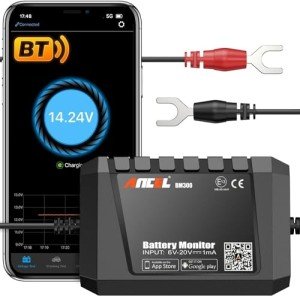 ANCEL BM300 Bluetooth Battery Monitor for Solar Systems