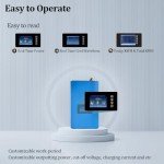 1000W Grid Tie Solar Inverter with Auto Switch