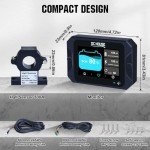 Portable 300A Battery Monitor with Touch Screen