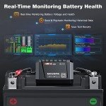 Bluetooth Battery Monitor for Solar Power Systems