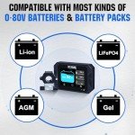 Portable 300A Battery Monitor with Touch Screen