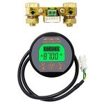 QWORK Battery Monitor Voltmeter and Ammeter 0-100A