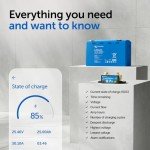 Victron Energy SmartShunt Bluetooth Battery Monitor 500A