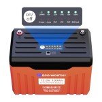 ECO-WORTHY 12V 100AH LiFePO4 Lithium Battery