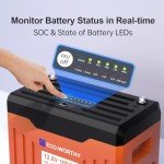 ECO-WORTHY 12V 100AH LiFePO4 Lithium Battery