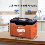 ECO-WORTHY 12V 100AH LiFePO4 Lithium Battery