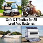 Golf Cart Battery Renew Solution - 64 oz