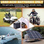 Lead Acid Battery Renewal Solution for Golf Carts
