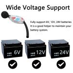 Watris Veiyi Quick Battery Hydrometer for Golf Carts