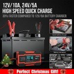 12V/24V Smart Car Battery Charger with LCD Display