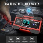 12V/24V Smart Car Battery Charger with LCD Display