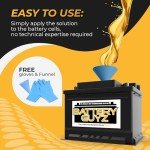 Battery Life Extender and Restorer for All Batteries