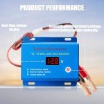 Battery Desulfator for 12V to 72V Lead Acid Batteries