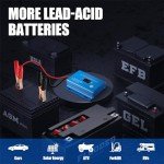 Battery Desulfator for 12V to 72V Lead Acid Batteries