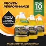 Battery Life Extender and Restorer for All Batteries