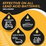 Battery Life Extender and Restorer for All Batteries