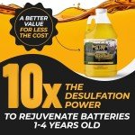 Battery Life Extender and Restorer for All Batteries