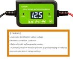 200AH Auto Pulse Battery Desulfator for 12-48V