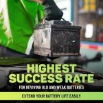 Lead Acid Battery Restorer and Desulfator Additive