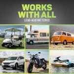 Lead Acid Battery Restorer and Desulfator Additive