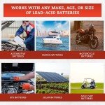 Thermoil® Golf Cart Battery Renewal Solution