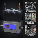 Battery Desulfator and Maintainer for Vehicles