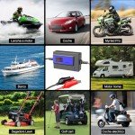 Battery Desulfator and Maintainer for Vehicles