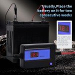 Battery Desulfator and Maintainer for Vehicles