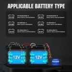 ECO-WORTHY 48V Battery Equalizer for Lithium & Lead Acid