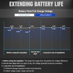 ECO-WORTHY 48V Battery Equalizer for Lithium & Lead Acid