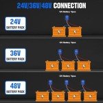 ECO-WORTHY 24V Battery Balancer for Extended Life