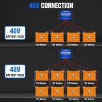 ECO-WORTHY 48V Battery Equalizer for Lithium & Lead Acid