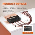 LiTime 48V Battery Equalizer for Solar Systems