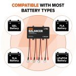 LiTime 48V Battery Equalizer for Solar Systems