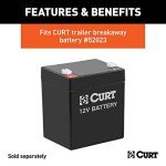 Lockable Trailer Breakaway Battery Case - CURT 52022