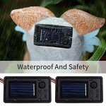 Solar Lantern Battery Box Replacement Parts (2PCS)