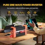 1000W Pure Sine Wave Inverter for Off-Grid Use