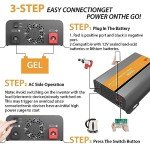 DongJin 1200W Pure Sine Wave Power Inverter