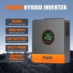 5000W Hybrid Solar Inverter with 100A MPPT