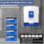 POWLAND 3000W Pure Sine Wave Solar Inverter