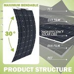 1000W Solar Panel Kit with Inverter & Controller