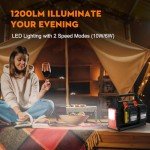 300W Portable Power Inverter for Dewalt Batteries