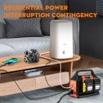300W Portable Power Inverter for Dewalt Batteries