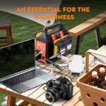 300W Portable Power Inverter for Dewalt Batteries