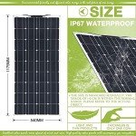 1000W Solar Panel Kit with Inverter & Controller