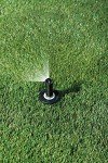 Adjustable Pressure Regulating Pop-Up Sprinkler 3'-4