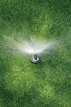Adjustable Pressure Regulating Pop-Up Sprinkler 3'-4